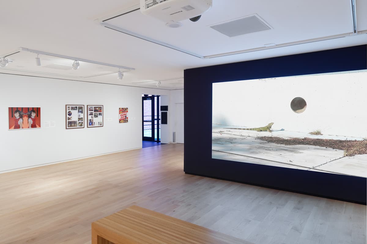 A large projection screen built into a dark wall displays a video of an iguana on a concrete surface beside a round opening. Along the adjacent white wall, framed prints, collages, and a poster are mounted above light wood flooring.