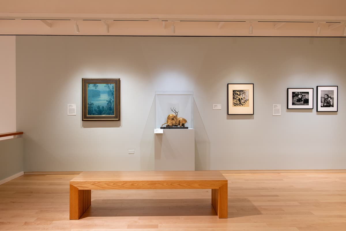 A centered view of a gallery wall with a landscape painting, a small gold animal sculpture in a case, and several black-and-white photographs.