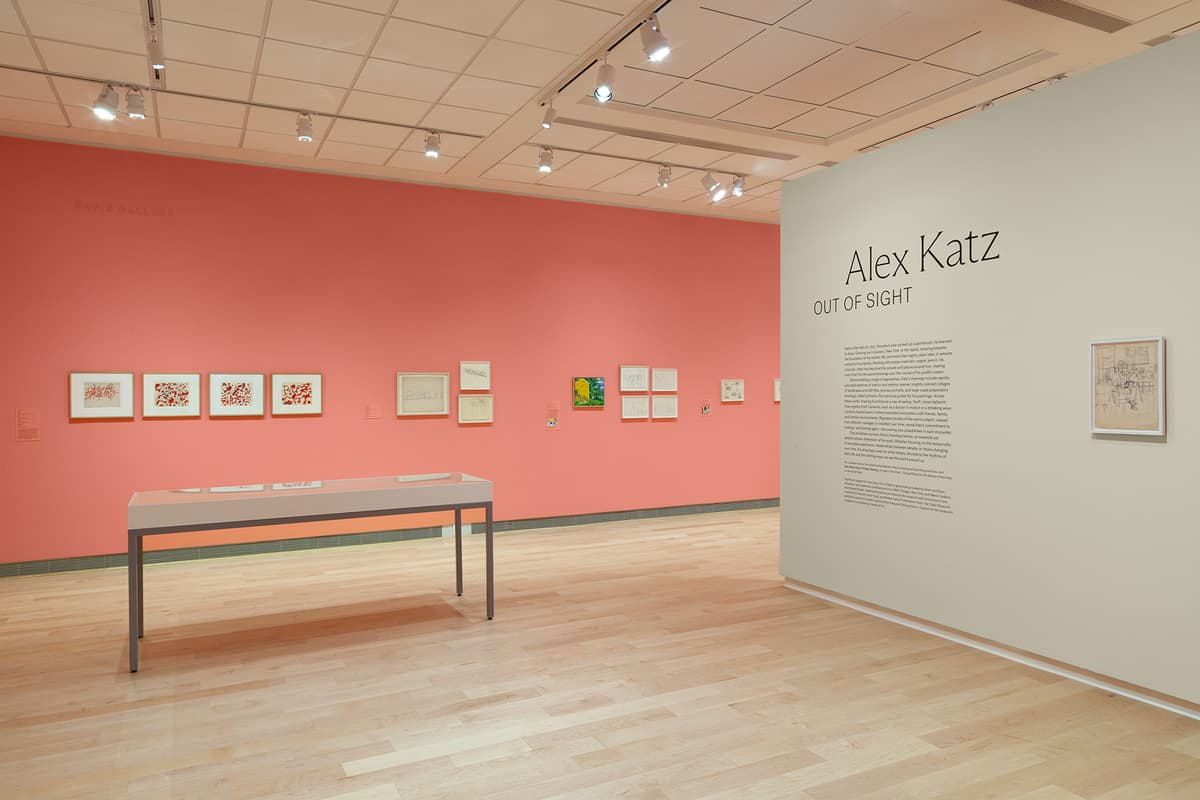 An installation view of an art gallery featuring an exhibition titled "Alex Katz: OUT OF SIGHT." The gallery has light wood floors and a prominent white wall on the right featuring the exhibition title and a block of text, next to a single framed drawing. The background wall is painted a vibrant coral-pink and is lined with multiple small, framed artworks. A long, glass-topped display case sits on the floor in front of the coral wall under bright track lighting.
