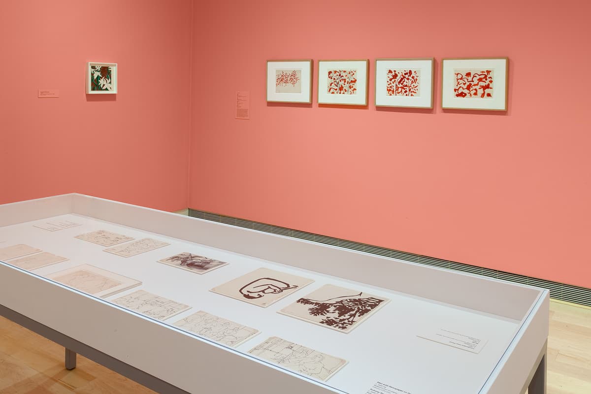 A gallery view looking down at a long white display vitrine filled with various unframed sketches and drawings on paper. In the background, the bright coral-pink wall is adorned with a row of four small framed red line drawings, a smaller single framed painting of flowers to the far left, and text block labels.