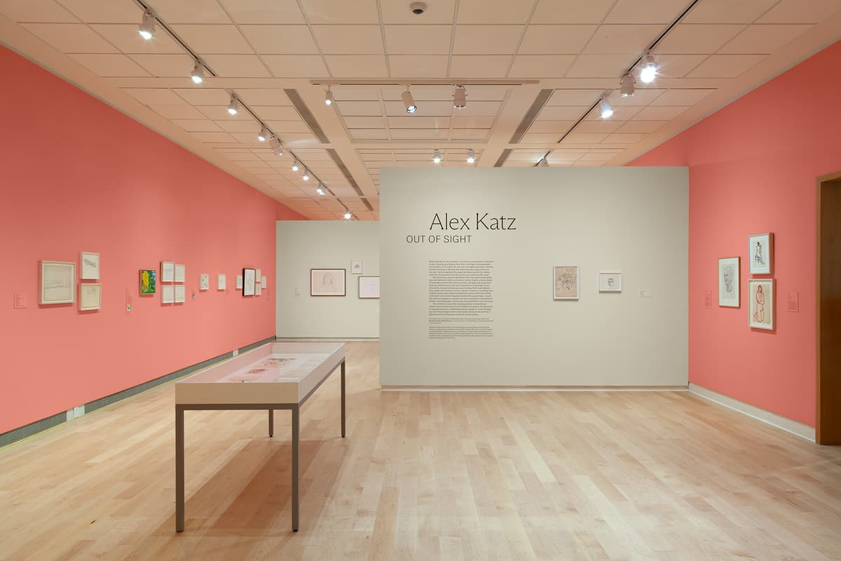 A wide installation shot of the entire gallery space with a high ceiling and extensive track lighting. The coral-pink walls line the left and right sides of the room, displaying rows of small framed artworks, while a long white display vitrine sits on the light hardwood floor. A large central freestanding off-white divider wall splits the space, featuring the exhibition title text.