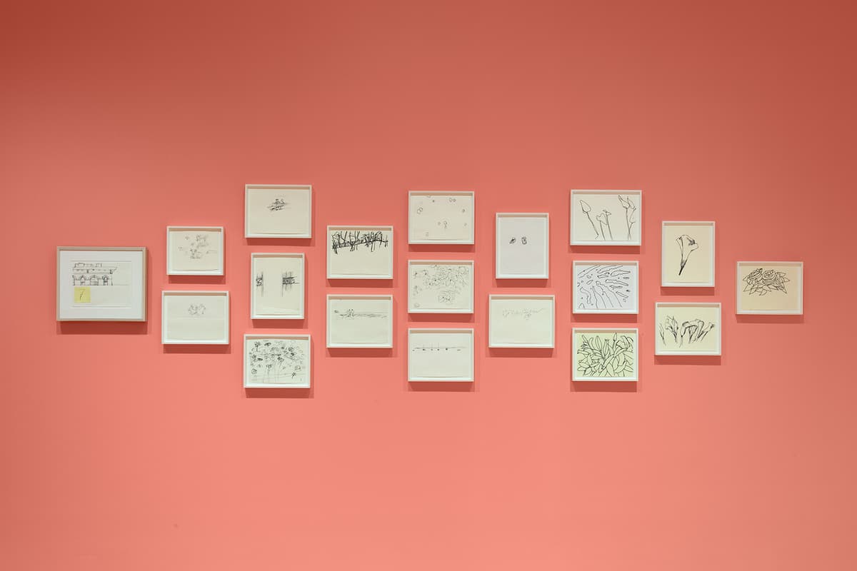 A straight-on, detailed view of a large, complex salon-style grid arrangement of eighteen small white-framed sketches on a coral-pink wall. The artworks contain delicate, minimalist black ink line drawings depicting landscapes, architectural elements, abstract patterns, and individual flowers.