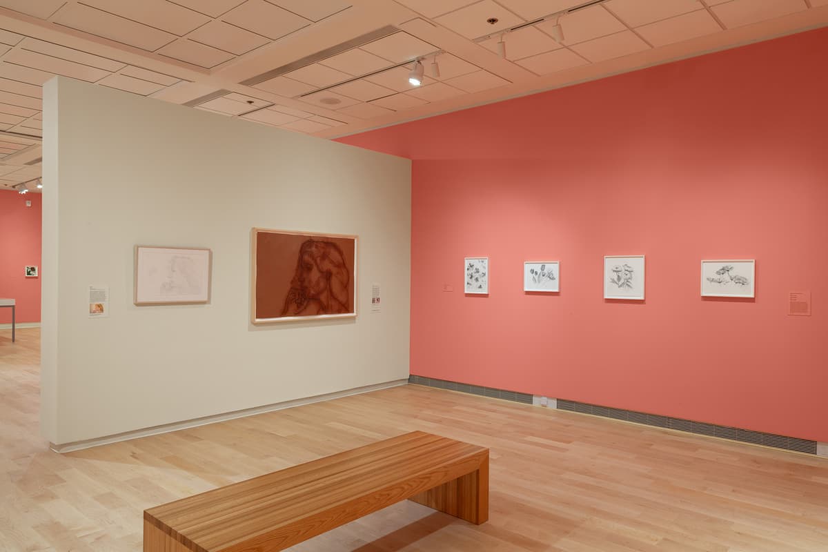 An angled view looking from an off-white wall toward a coral-pink wall meeting at a corner. The off-white wall on the left features two portrait sketches, including the large reddish-brown piece. The coral wall on the right displays the four floral sketches. A wooden bench sits obliquely on the hardwood floor in the foreground under the grid of ceiling lights.