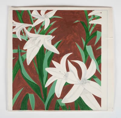 stylized, close-up study of white lilies. Several large, stark white blossoms dominate the composition, surrounded by thick, vibrant green leaves. The background is a flat, earthy reddish-brown. The painting is contained within a square border on a larger piece of paper, showing visible pencil lines and a signature at the top right.