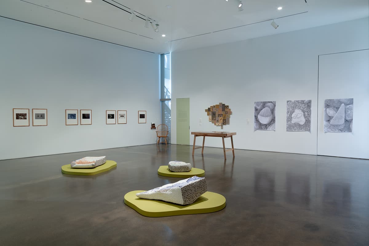 An installation view of a white-walled gallery room featuring several large paintings and drawings under track lighting. The left wall displays large, loose charcoal sketches of figures and faces, while the far wall shows a vibrant painting of a tree trunk with green leaves next to a coastal seascape. A long, dark wood reading table surrounded by several black chairs sits in the center of the polished hardwood floor.