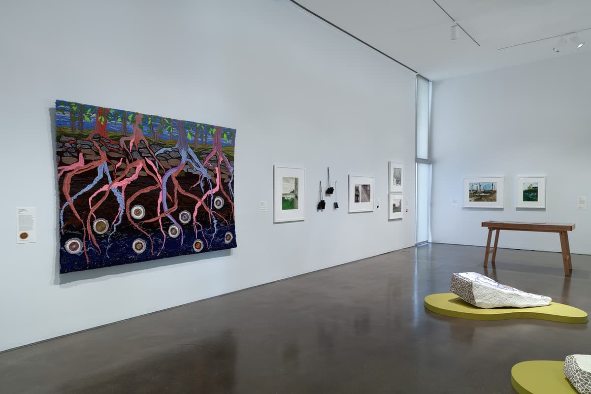 An installation view of an art gallery corner with off-white walls and light hardwood flooring. The left wall features two framed portrait drawings, including a large expressive sketch on a solid reddish-brown background. The right wall displays four small, uniformly framed pencil drawings of individual flowers arranged in a neat horizontal row.