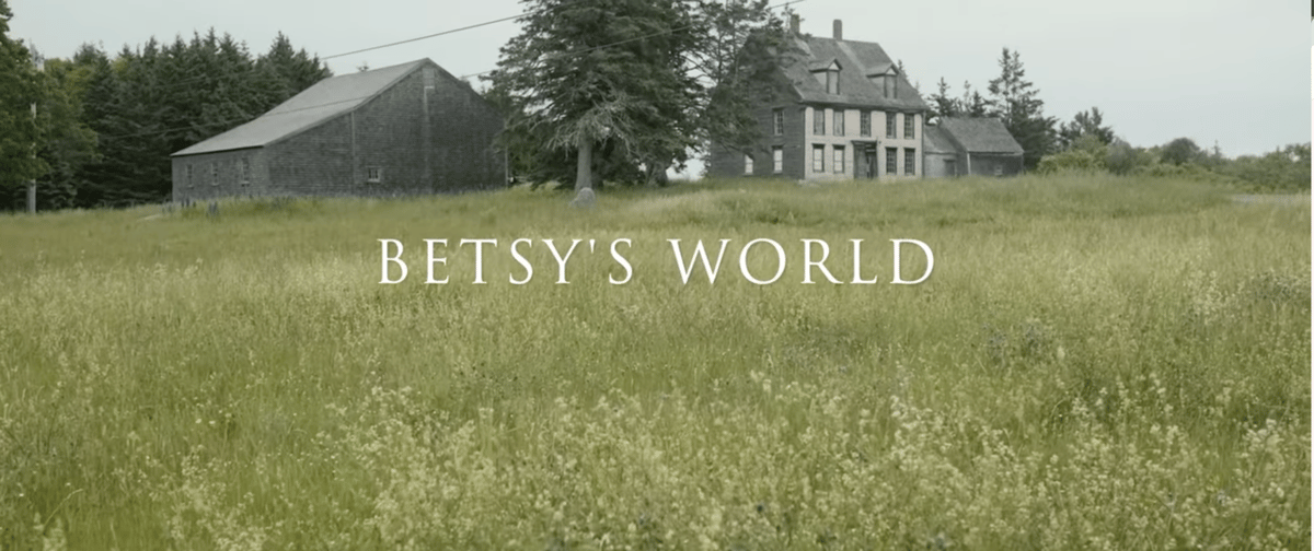 Image 5: Film Still, Betsy's World A wide, horizontal landscape photograph featuring a sprawling field of tall, pale green and yellow grasses in the foreground. In the background, set against a line of dark evergreen trees and a grey, overcast sky, are several weathered wooden buildings. To the left stands a large, saltbox-style barn with grey shingles. To the right is a two-story farmhouse with white-trimmed windows and two dormers on a gabled roof, flanked by smaller outbuildings. Centered in the middle ground, the words BETSY'S WORLD are overlaid in a white, serif, all-caps typeface. The overall color palette is muted and atmospheric, dominated by earthy greens, greys, and tans.