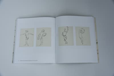 Alex Katz | Out of Sight: A Drawing Survey | Colby College Museum