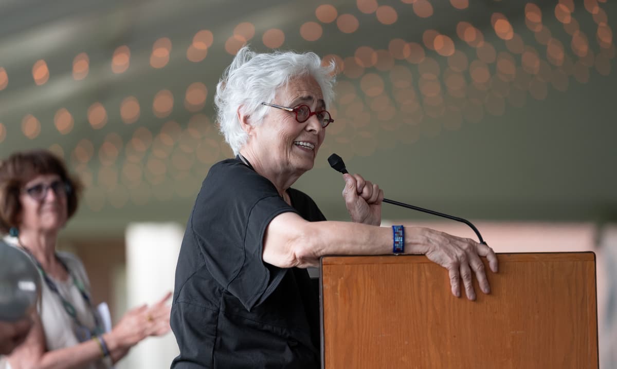 Artist Katherine Bradford speaking at the podium at the Summer Luncheon.