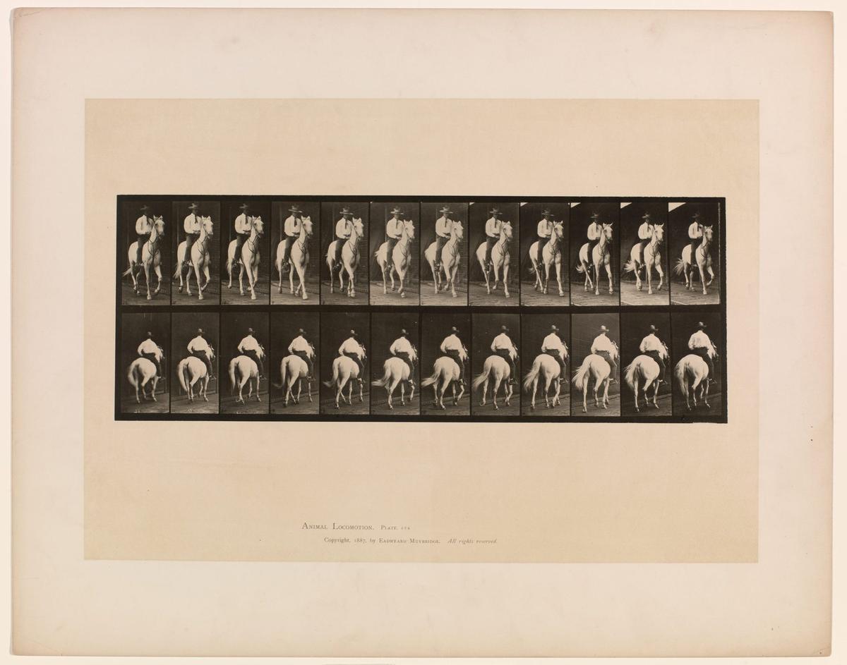 Black-and-white images depicting the gradual movements of a person on a horse.