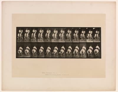 Black-and-white images depicting the gradual movements of a person on a horse.