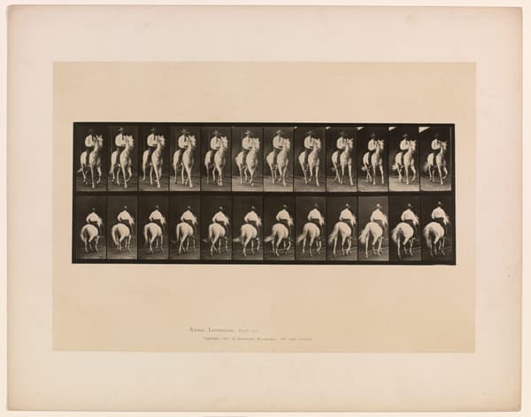 Black-and-white images depicting the gradual movements of a person on a horse.