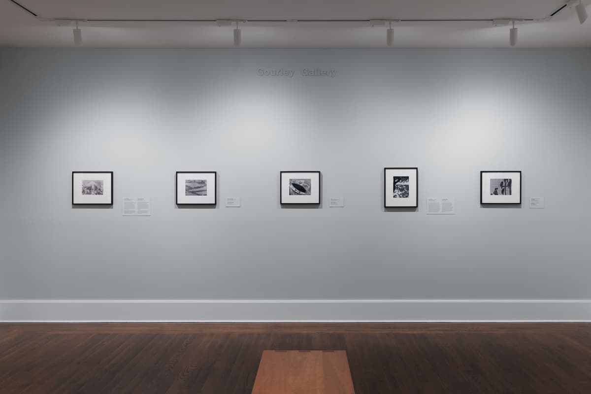 Symmetrical view of a gallery wall with the title "Gourley Gallery" in subtle lettering near the top. Five small, black-framed photographs are hung evenly in a horizontal line across the light gray wall, each with an accompanying white didactic label. In the foreground, the edge of a wooden bench sits on dark hardwood floors beneath overhead track lighting.