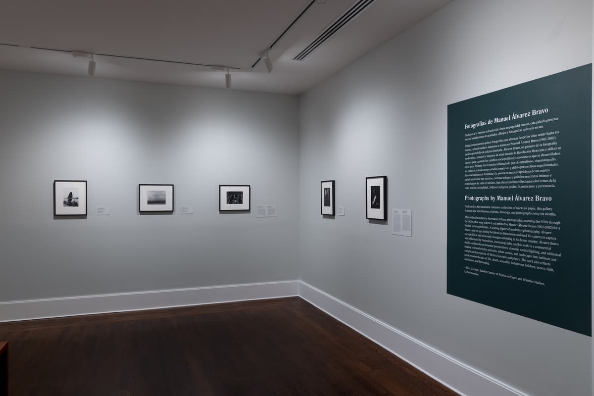 Art gallery wall view featuring a large dark green intro wall panel with bilingual exhibition text titled "Fotografías de Manuel Álvarez Bravo / Photographs by Manuel Álvarez Bravo." To the left, framed black-and-white photographs are hung in a line across light gray gallery walls above dark hardwood floors.