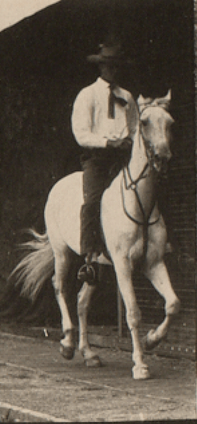 An animations of 24 photographic views of a man seated on a white horse trotting. The man wears dark pants, a light button down shirt, and a hat. The first several images in the sequence show the horse galloping towards the camera and the latter views are shot from behind the horse.