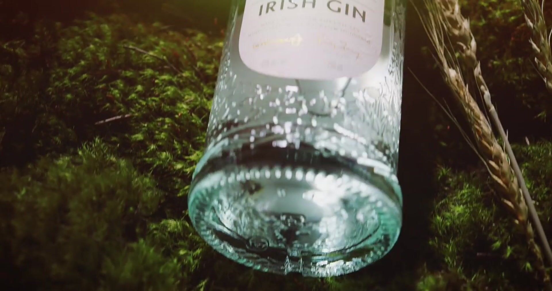 GLENDALOUGH — Motion