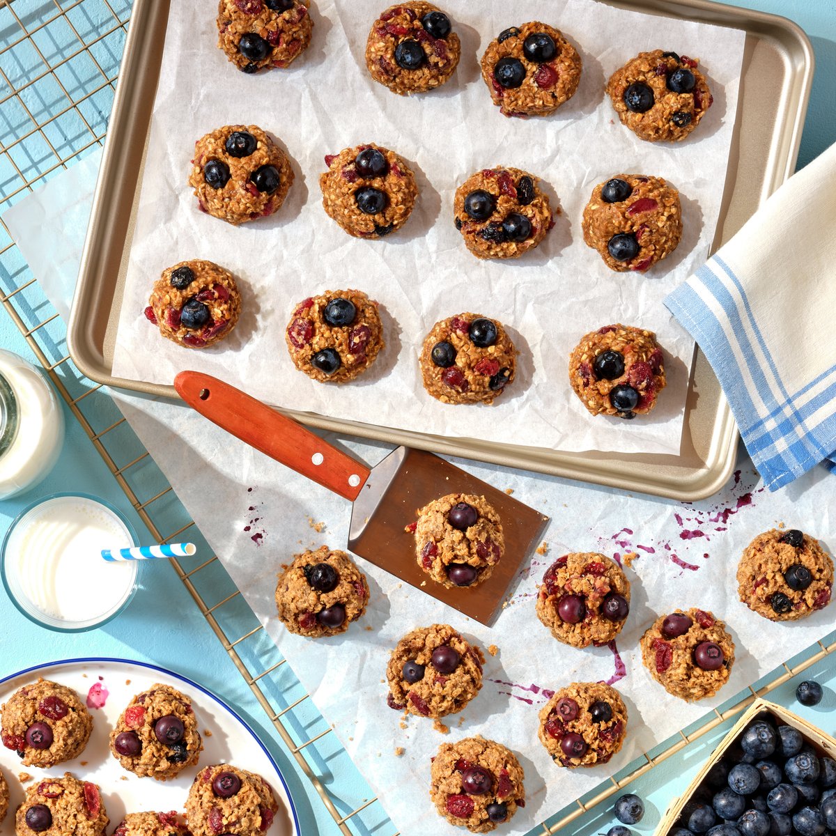 A baking tray of oat and blueberry cookies cooling on a pale blue surface with milk and fresh berries