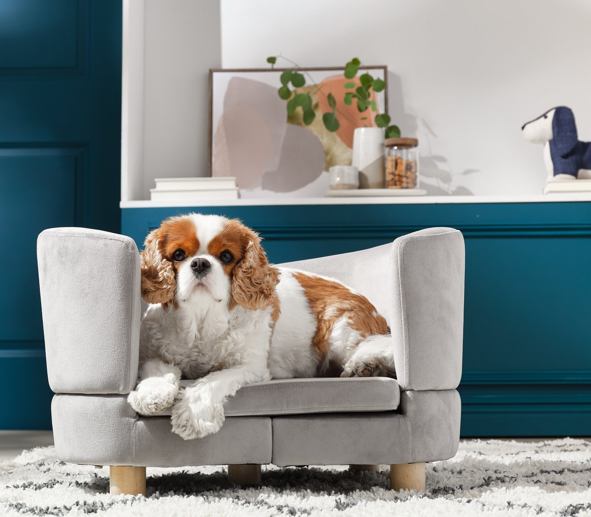 A King Charles spaniel lies on a small grey pet sofa in front of a teal panelled wall