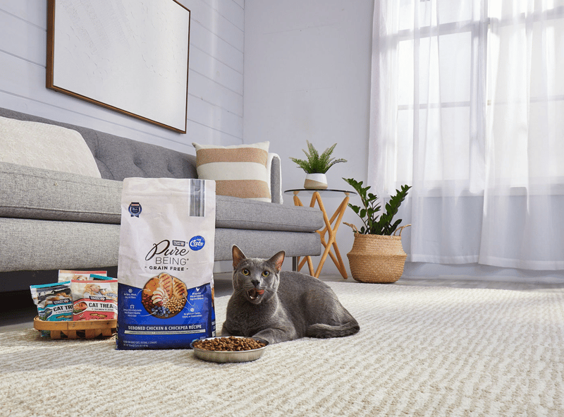 A grey cat sits beside a bag of cat food and filled bowls in a bright living room