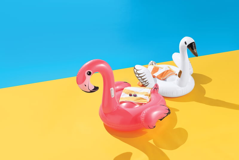 A flamingo and a swan pool float on a yellow and blue split ground