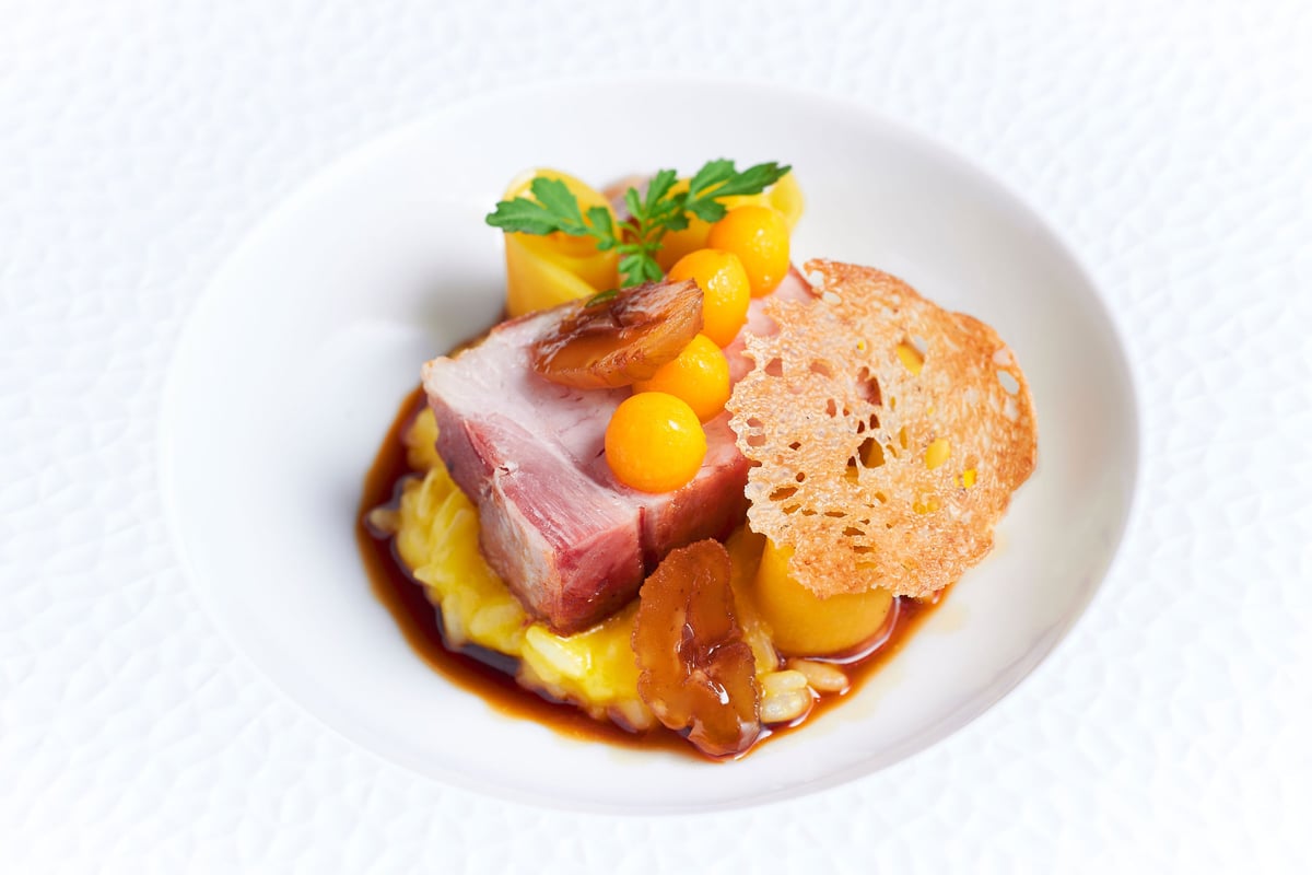 A plated pork dish with squash purée and a crisp garnish on a white plate