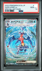 GARCHOMP ex