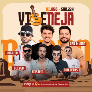 Vibeneja