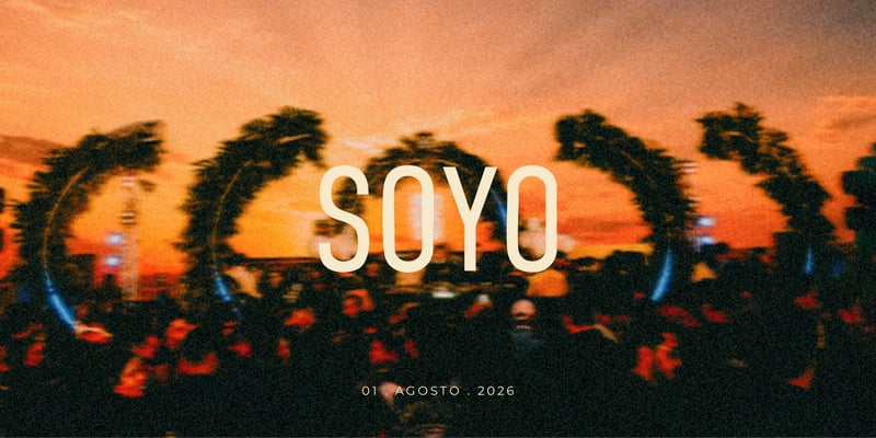 Soyo Experience
