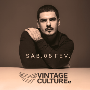 Vintage Culture Palmas