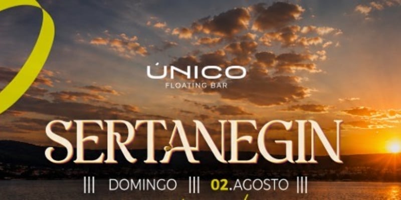 Único - Sertanegin