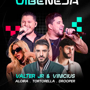 VIBENEJA