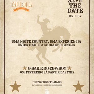 05/02 Tatu bola - ( Uberlândia )