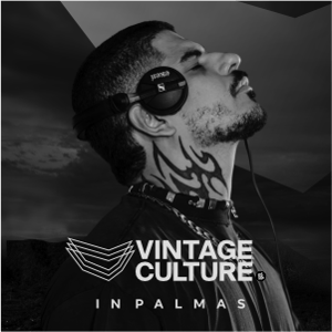 Vintage Culture Palmas