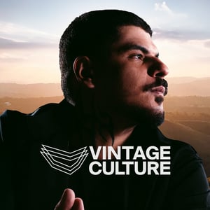 Winter Days - Vintage Culture