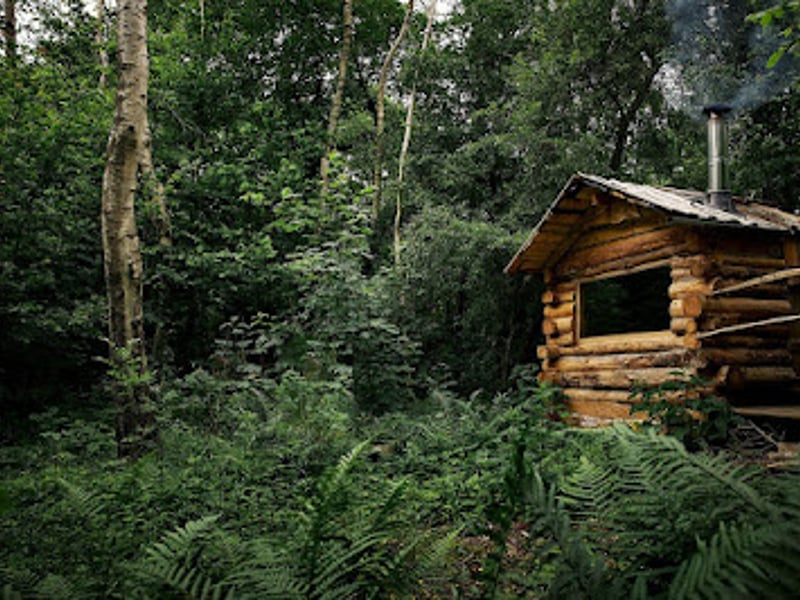 Sauna in the Woods