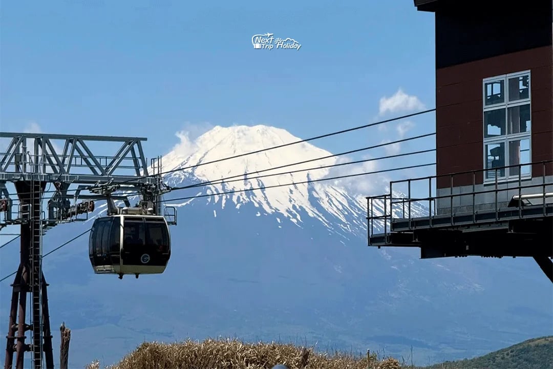 13.png