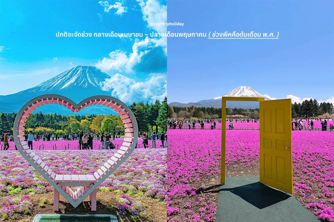 6.png