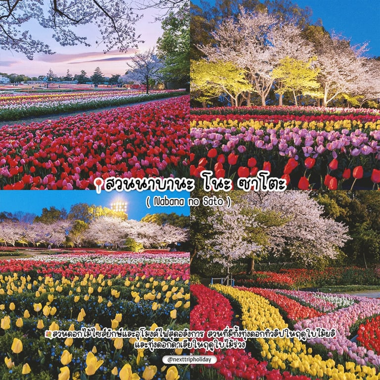 6.png
