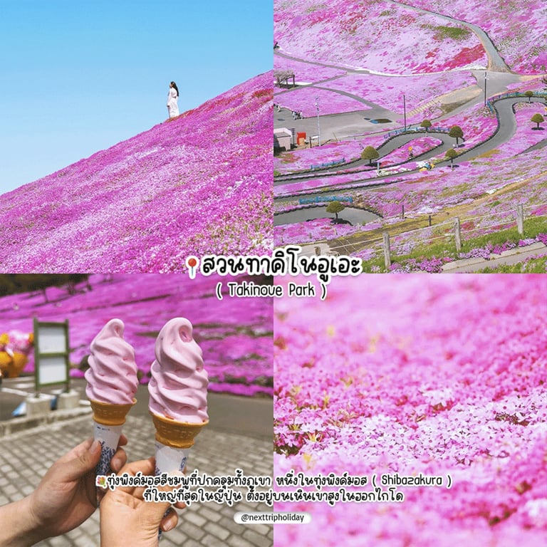 7.png