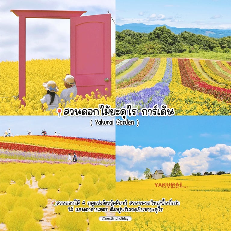 10.png