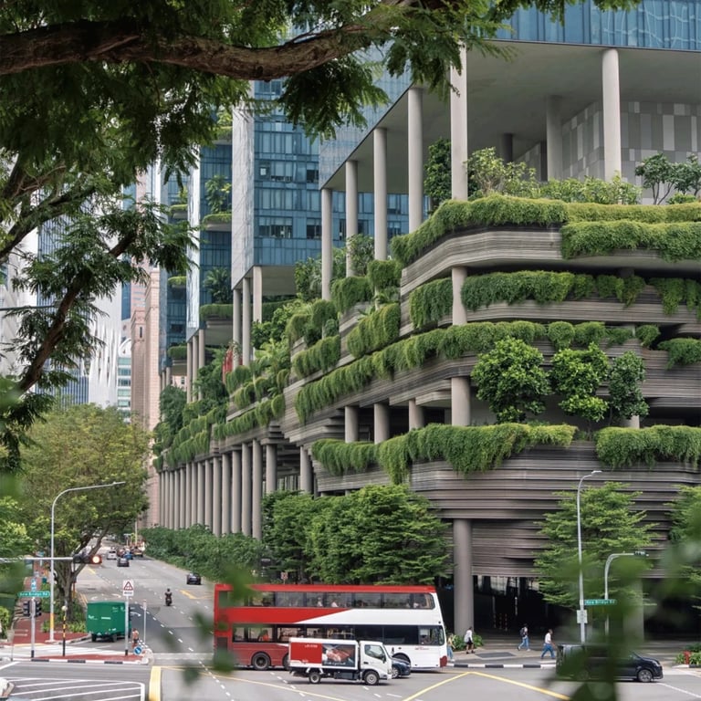 8.png