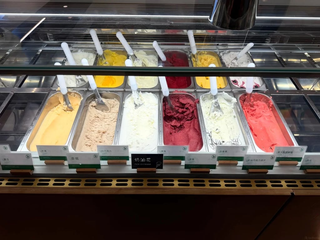 Gioiatti🍦吃到好吃的Gelato啦_4_爱吃冷饮的水冰玥💫_from rednote web.jpg