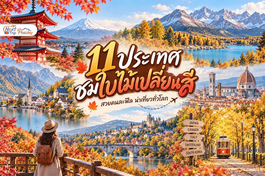 11 ประเทศชมใบไม้เปลี่ยนสี สวยคนละฟีล ควรไปช่วงเดือนไหน?