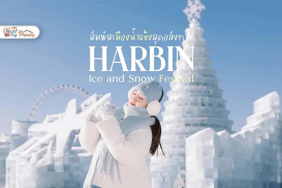 เทศกาลน้ำแข็งฮาร์บิน สัมผัสเมืองน้ำแข็งสุดอลังการแห่งฤดูหนาวจีน