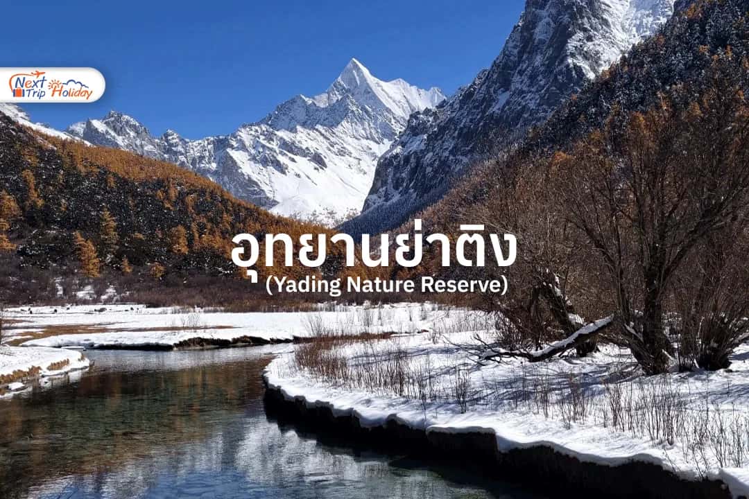 อุทยานย่าติง สวรรค์บนดินแห่งเสฉวน ที่ธรรมชาติสวยเหมือนหลุดเข้าไปในภาพวาด