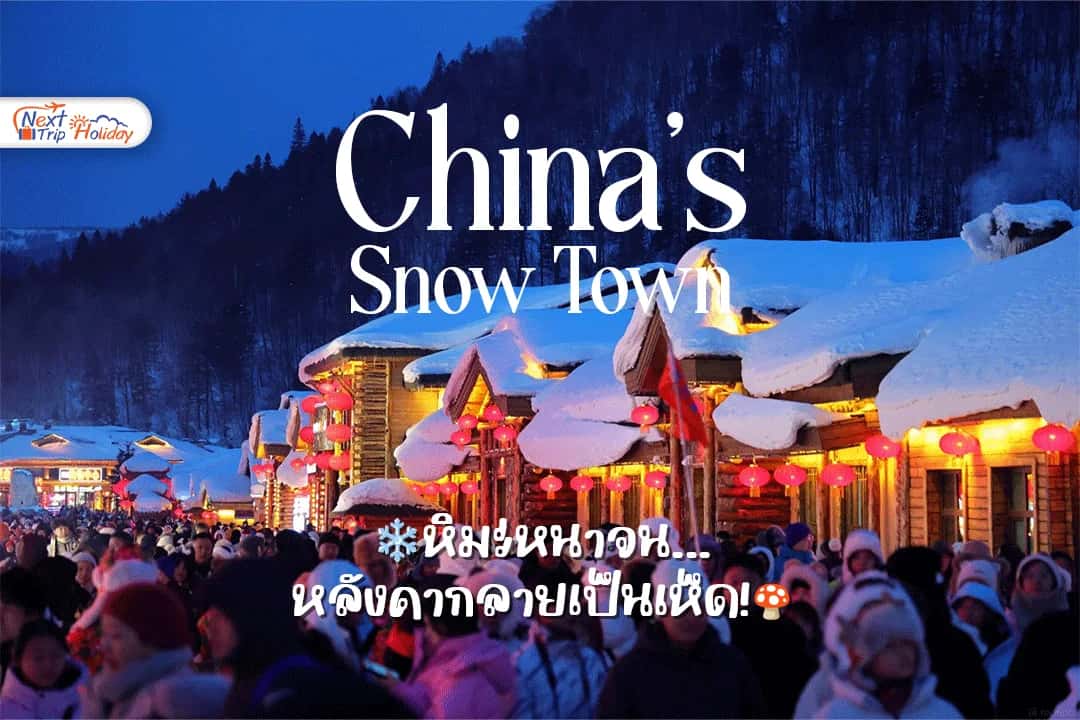 หิมะหนาจนหลังคากลายเป็นเห็ด! พาเปิดโลก China’s Snow Town
