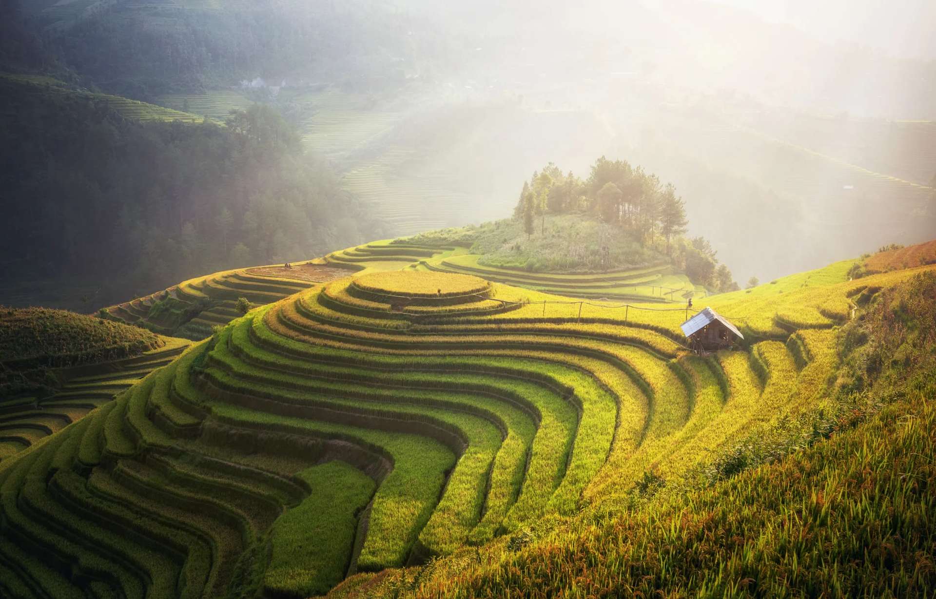 นาขั้นบันไดซาปา, Sapa-Rice-Terrace