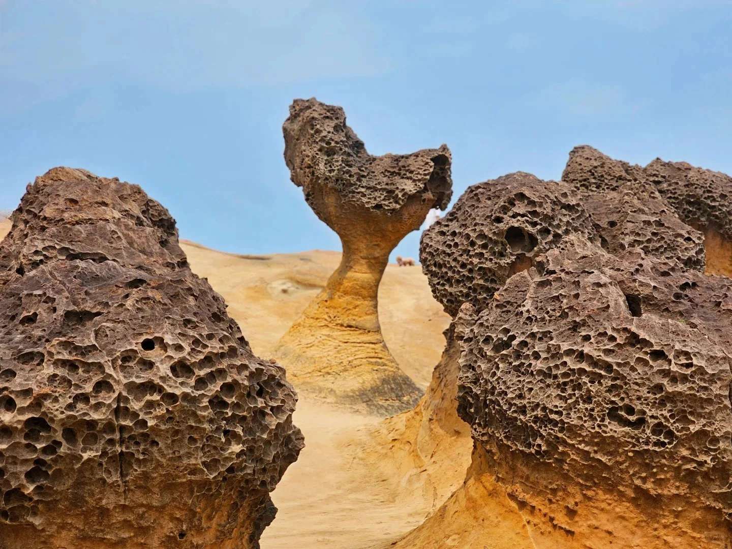 อุทยานแห่งชาติเหย่หลิว, Yehliu-Geopark