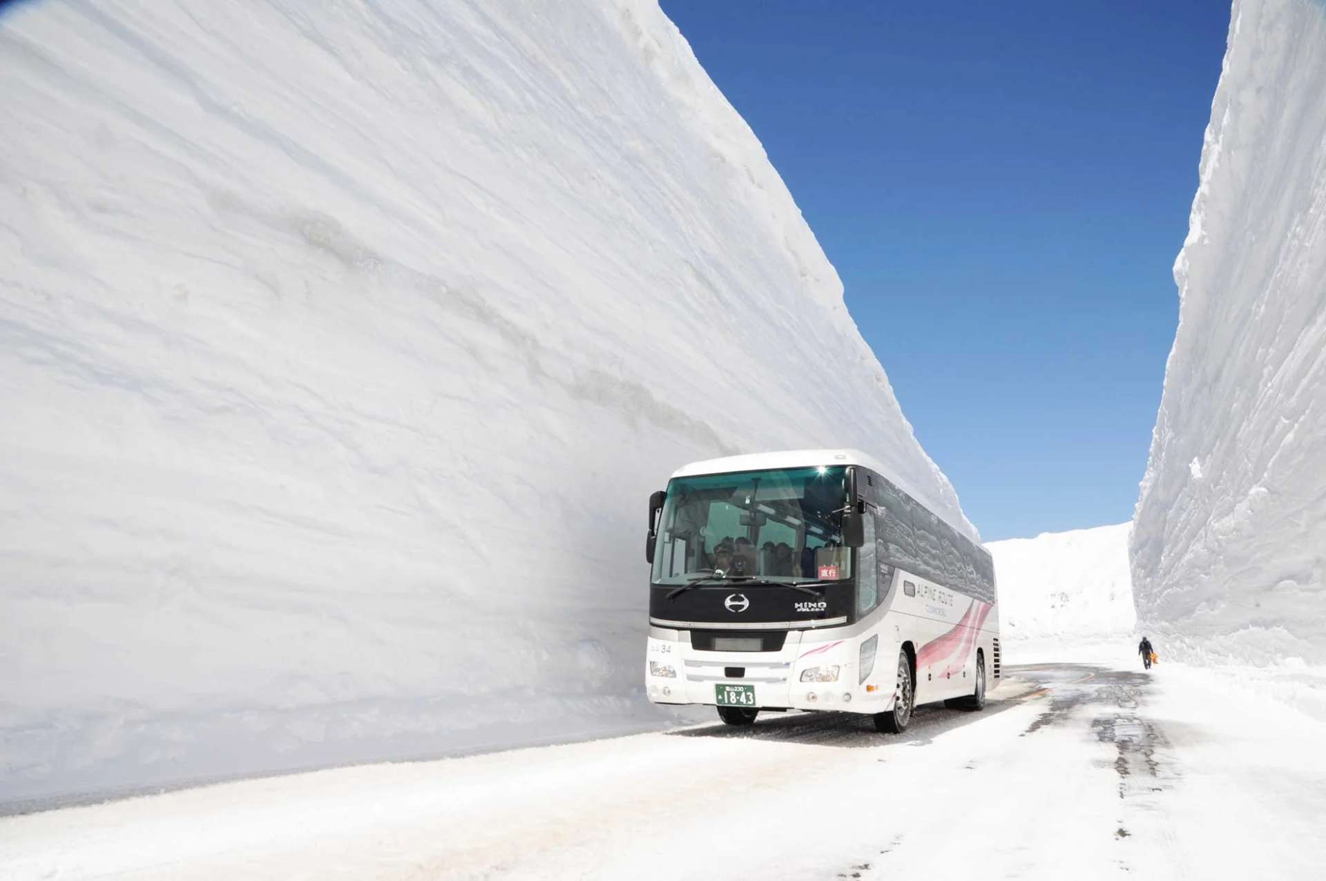 กำแพงหิมะ, Snow-Wall