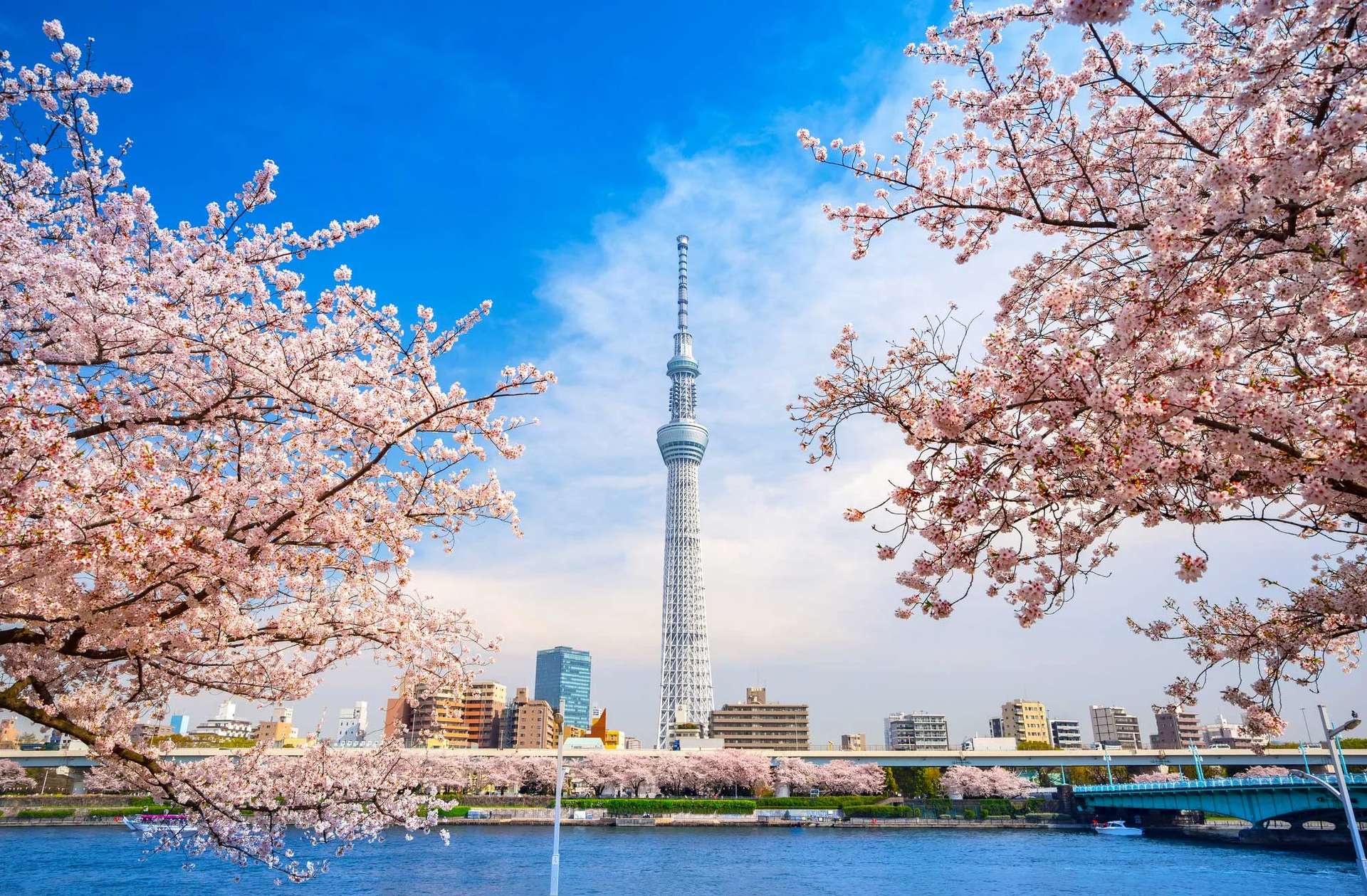 โตเกียวสกายทรี Tokyo-Skytree โตเกียว ญี่ปุ่น